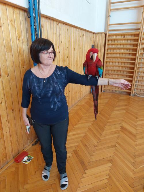 Návštěva papoušků